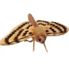 Hansa knuffels Hansa Creation beige Motte- Insekten|Mehr Stofftiere