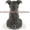 Jellycat knuffels Jellycat Lawrence Schnauzer-Hund- Jungen|Mädchen