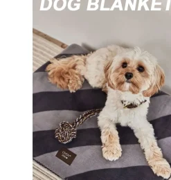 OYOY Hundedecke / Hundedecke KAYA 80 x 100 cm- Haustiere|Kuscheltiere Für Katzen Und Hunde