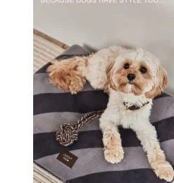 OYOY Hundespielzeug Otto Rope- Haustiere|Kuscheltiere Für Katzen Und Hunde