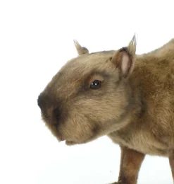 Hansa knuffels Wasserschwein von Hansa Creation- Jungen|Mehr Stofftiere